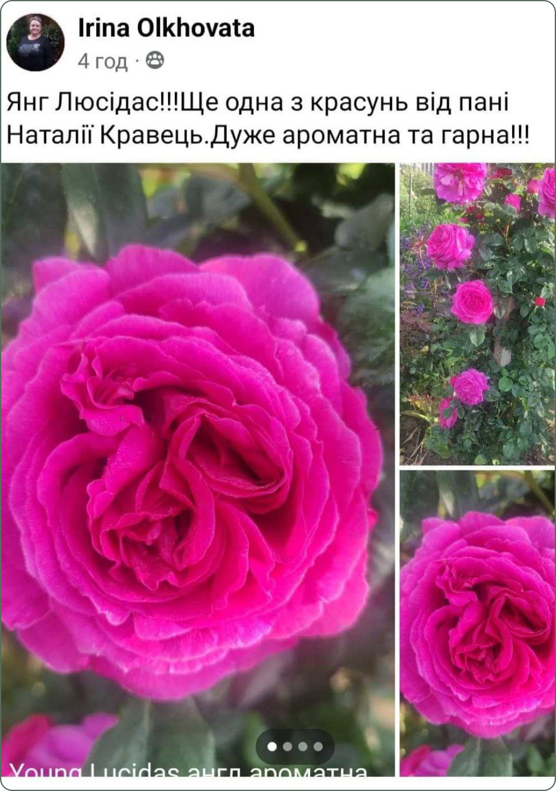 photo_2024-08-28_13-37-39 1