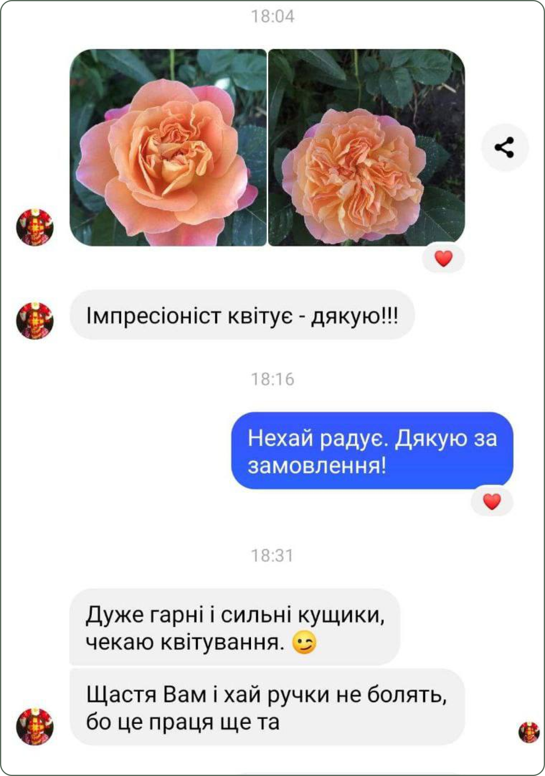 photo_2024-08-28_13-37-40 1