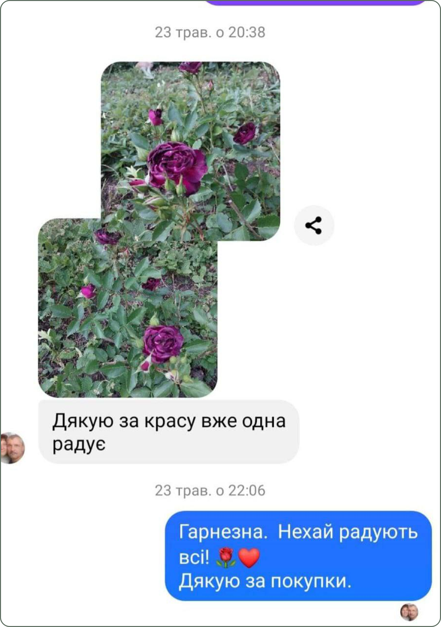 photo_2024-08-28_13-37-41 1