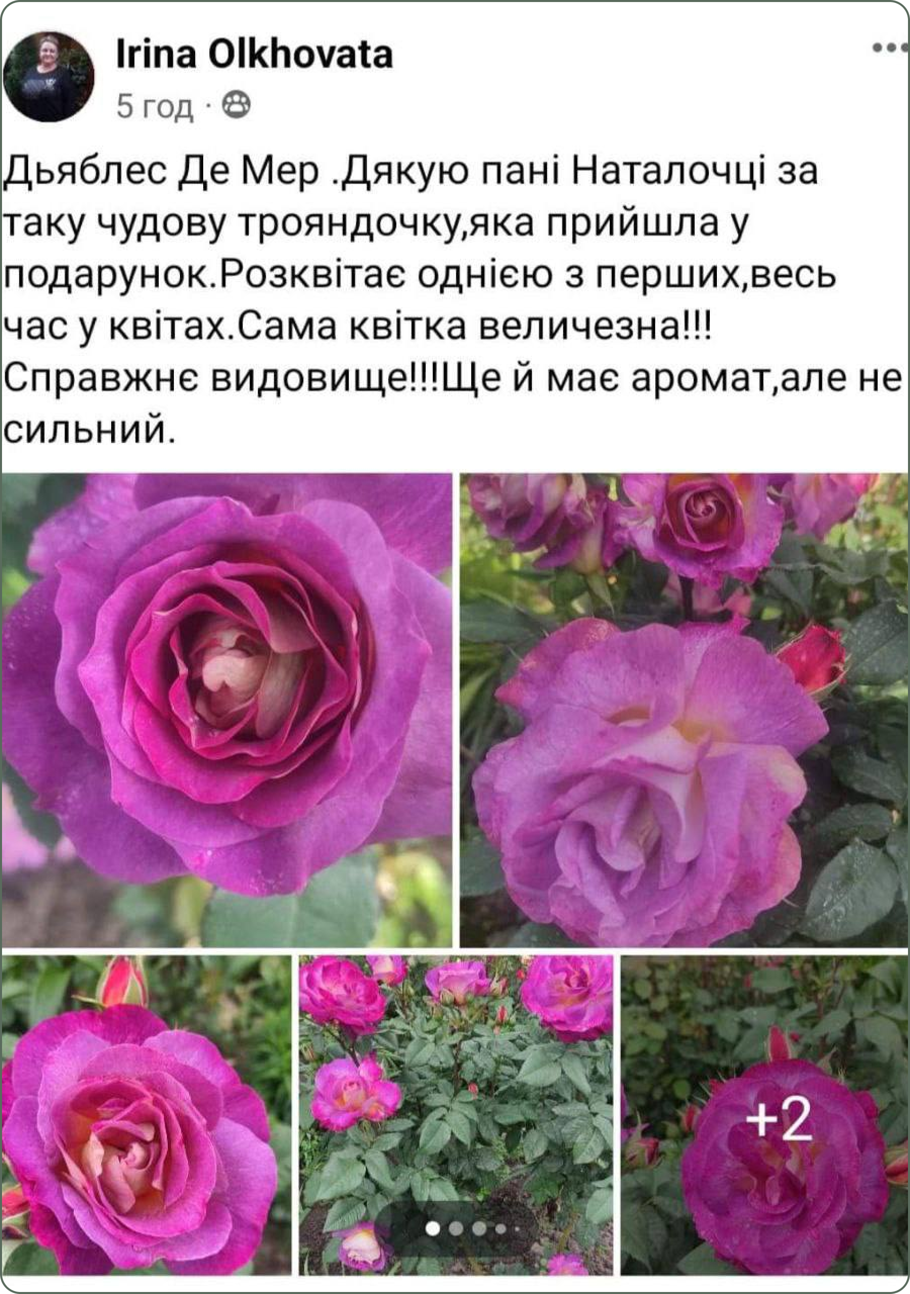 photo_2024-08-28_13-37-42 (2) 1