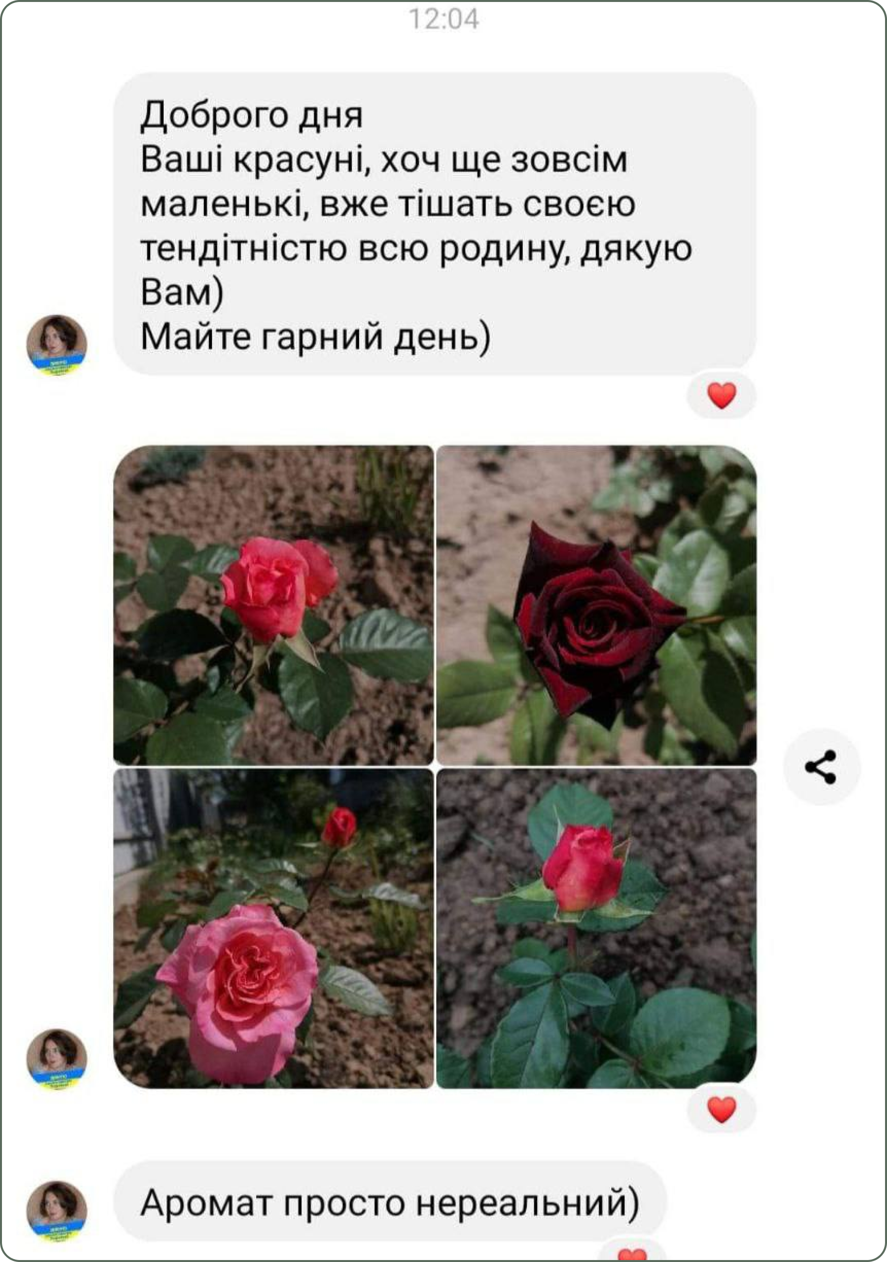 photo_2024-08-28_13-37-44 (2) 1