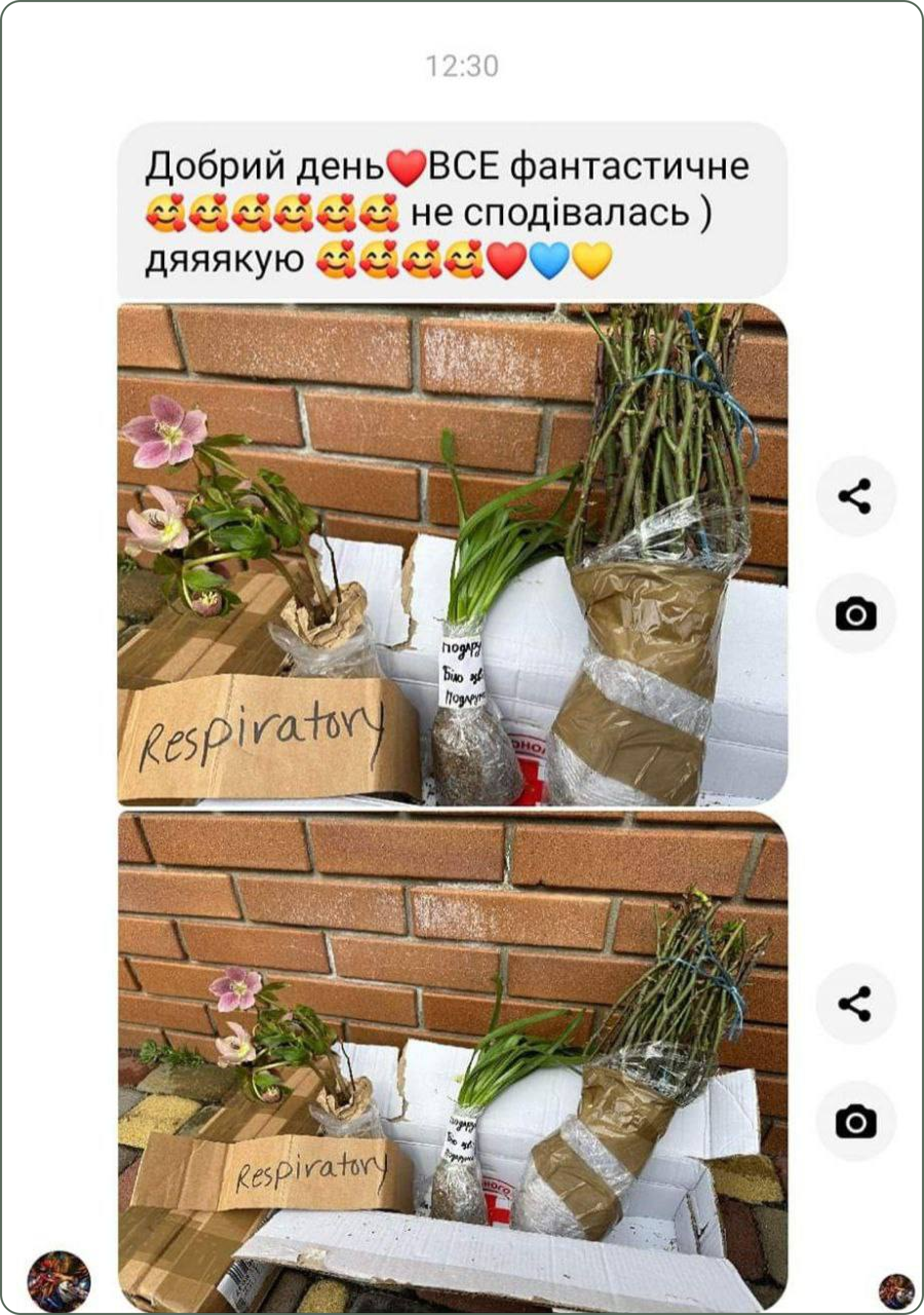 photo_2024-08-28_13-37-47 1