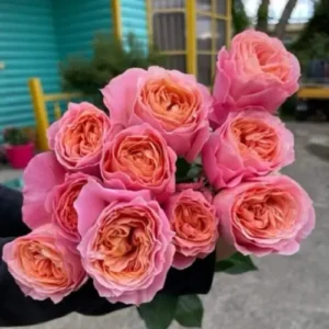 Лавз Мі (Loves Me) НОВИНКА!