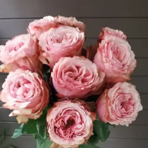 Беліз (Belize) НОВИНКА!