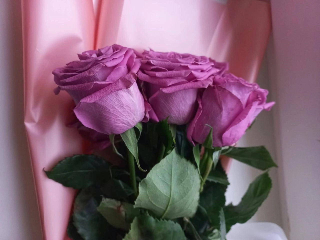 Моя Любов (Mу Love) Таємнича троянда з букетною історією. - Зображення 3